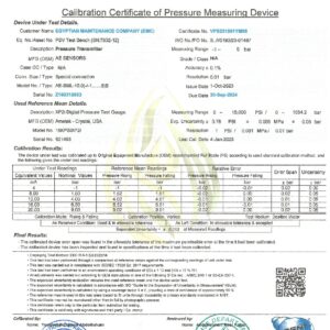 VPS231001YM08